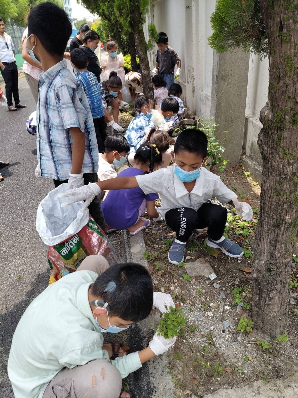 Students in gloves and masks tidying the neighbourhood on a cleaning trip